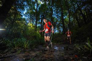 BIB: 
                            <button type="button" onclick="openModal(19233096)" class="btn btn-primary btn-sm float-right btn-popup" data-toggle="modal" data-target=".modal-high-quality">
                        <i class="fas fa-shopping-cart"></i> Add to Cart
                    </button>
                                            <button type="button" onclick="isThisMe(19233096, true)" class="btn btn-success btn-sm float-right btn-popup btn-isme hidden" data-toggle="tooltip" data-placement="bottom" title="นี่คือรูปของคุณใช่ไหม คลิกที่นี่เพื่อเอาเข้าอัลบั้ม">
                        <i class="fas fa-plus"></i> Add to album
                    </button>
                    <button type="button" onclick="isThisMe(19233096, false)" class="btn btn-warning btn-sm float-right btn-popup btn-isnotme hidden">
                        <i class="fas fa-ban"></i> Remove from album
                    </button>